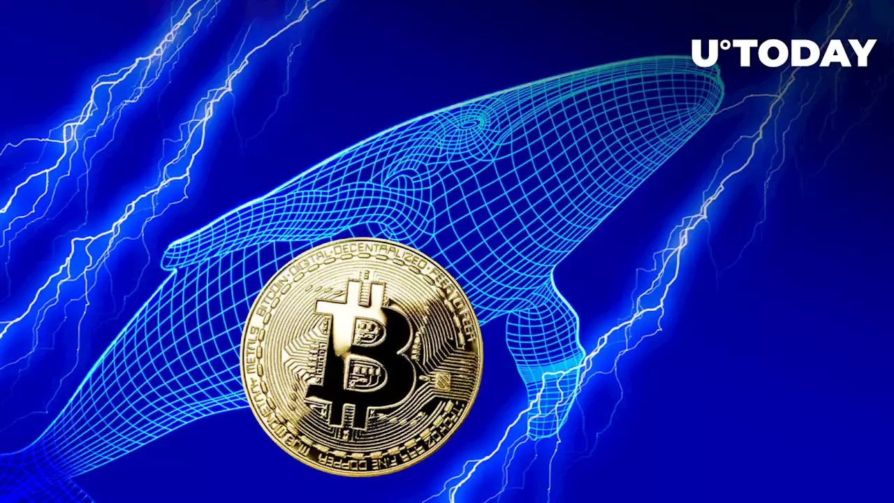 100,000 BTC Sold or Redistributed by Whales in Past Two Days: Report