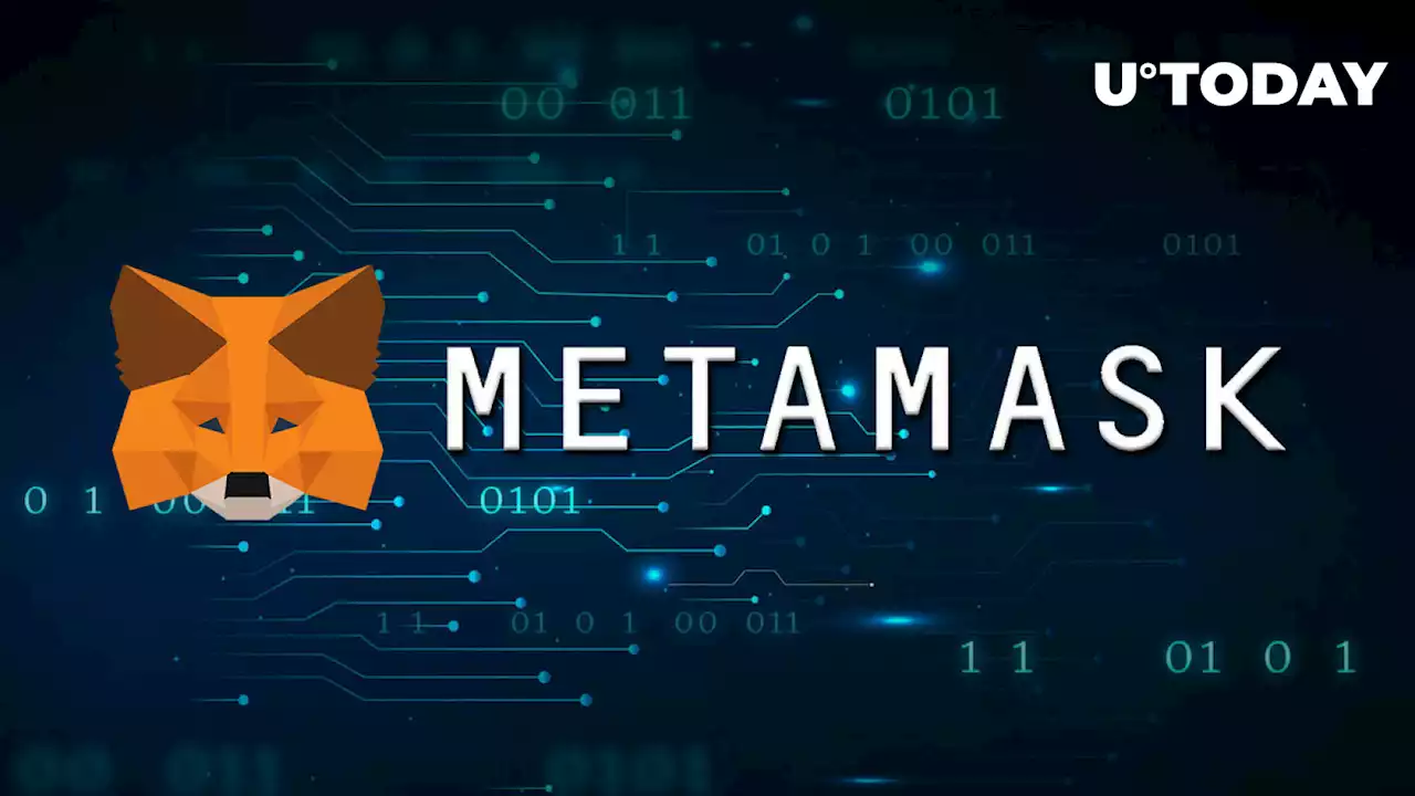 Here's What Your MetaMask Crypto Wallet Knows About You