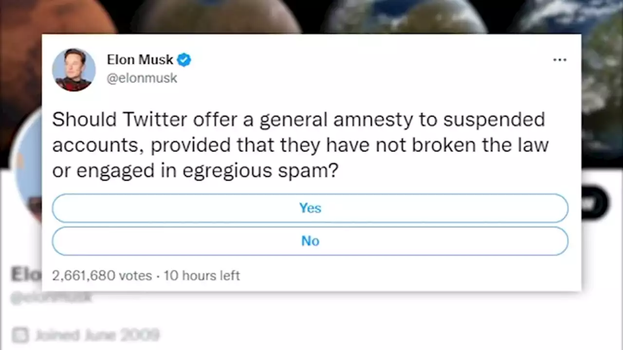 Elon Musk says he's granting 'amnesty' to suspended Twitter accounts