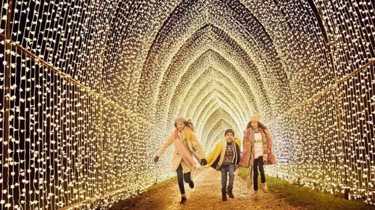 Houston's most spectacular winter light shows and events dazzle for the holidays