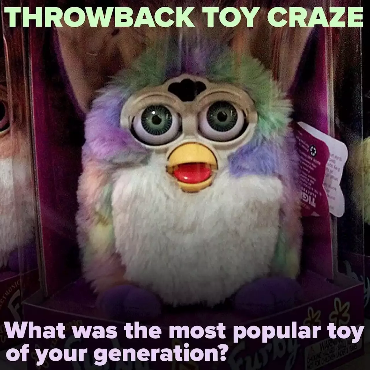 furby meme fight me