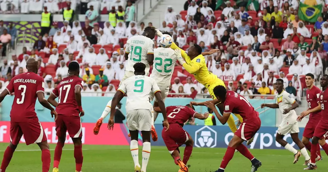 Cobertura Qatar vs Senegal EN VIVO | Qatar 2022 Grupo A