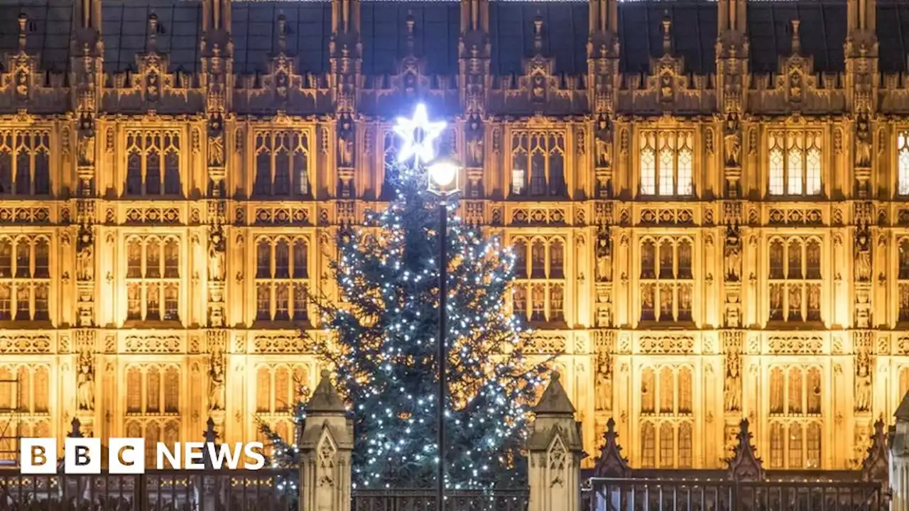 Watchdog apologises after MPs' Christmas expenses row