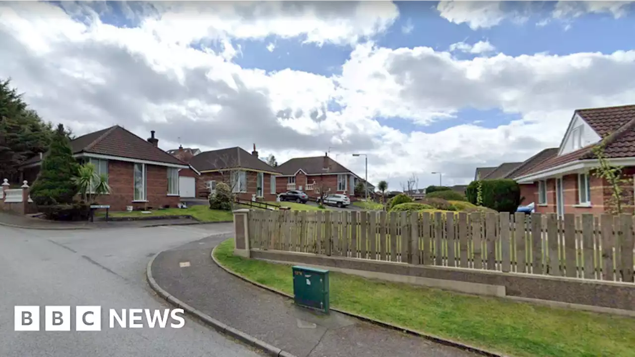 Malone Park: Women attacked with wrench in Downpatrick burglary