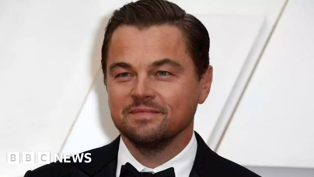 Leonardo DiCaprio: Actor praises Chester Zoo's conservation work