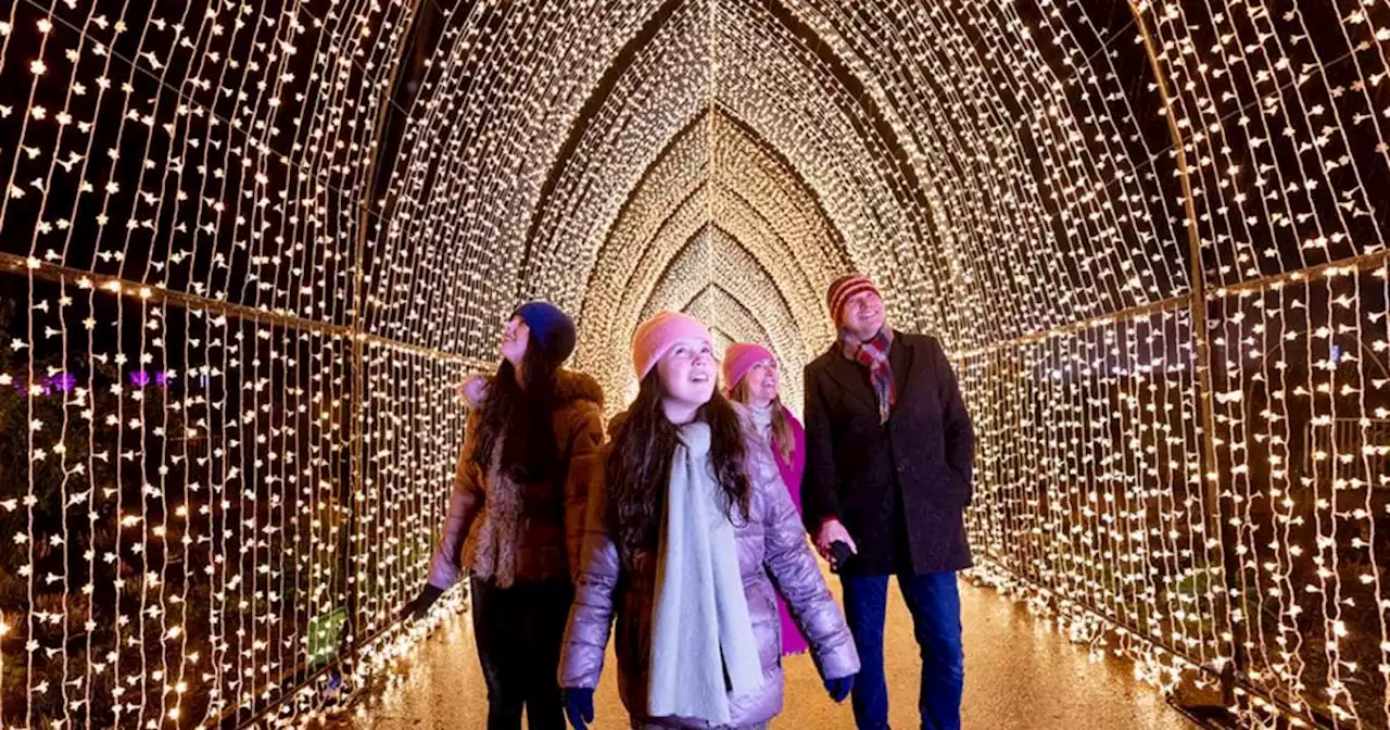 Christmas events across NI for the whole family to enjoy this festive season