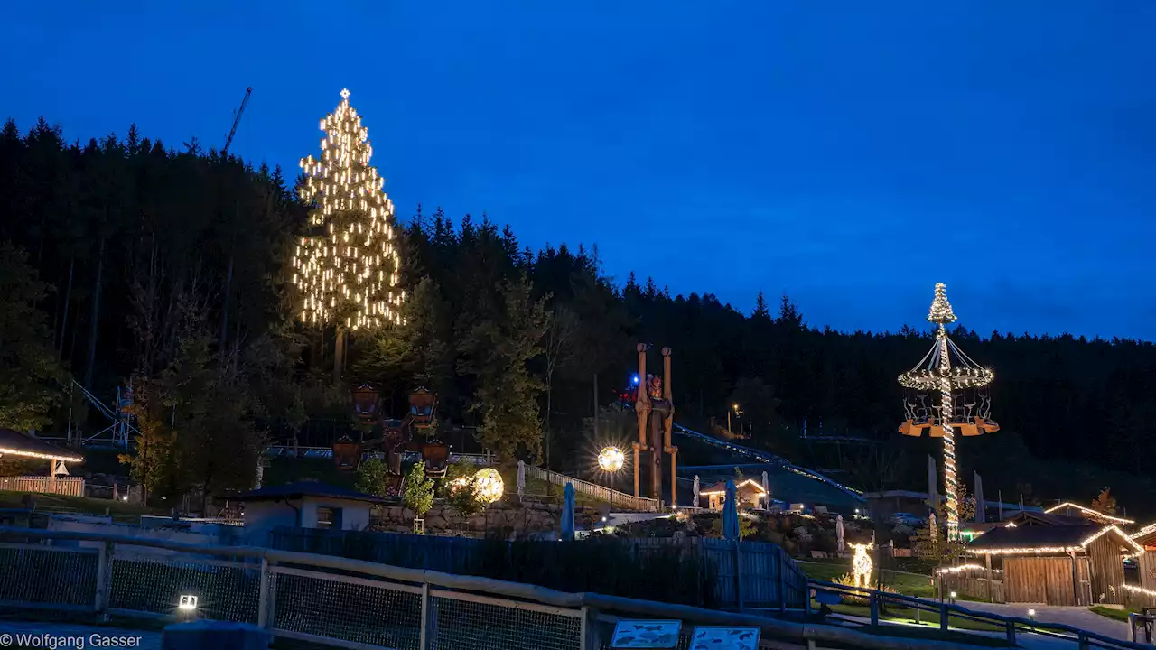 Höchster Christbaum Bayerns leuchtet in Neukirchen bei Bogen