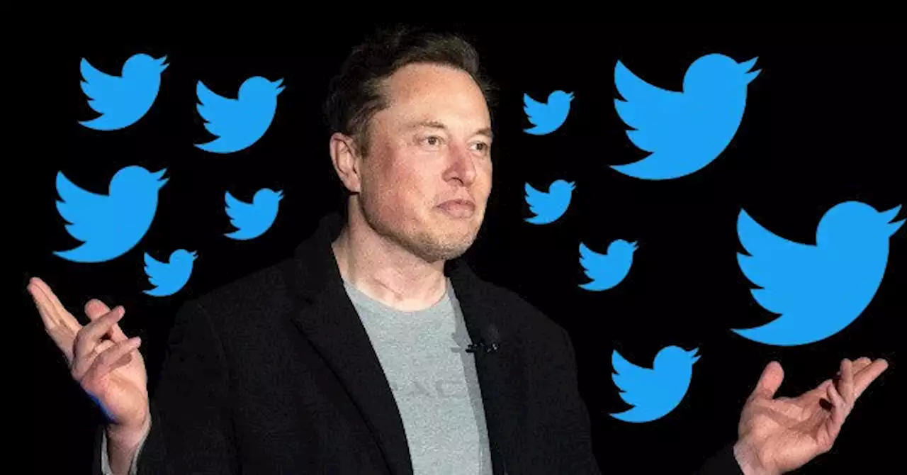 Elon Musk Claims He Will Grant 'Amnesty' to Blacklisted Twitter Accounts