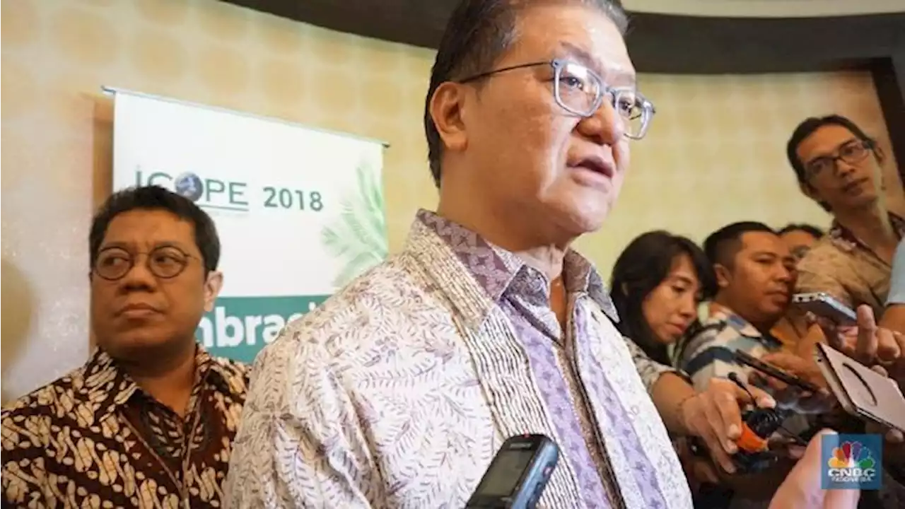 Bos Sinar Mas Soal Masa Kelam Startup: Ga Krisis, Ga Belajar