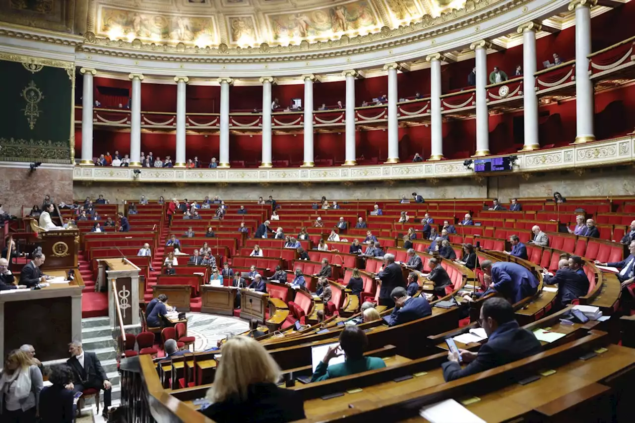 «Tu vas la fermer !», lance le député Olivier Serva à un autre élu lors d'une séance houleuse à l'Assemblée