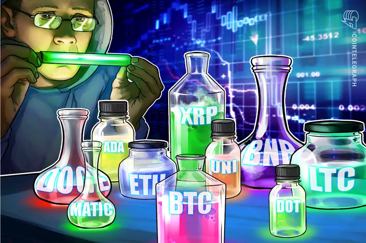 Price analysis 11/25: BTC, ETH, BNB, XRP, ADA, DOGE, MATIC, DOT, LTC, UNI