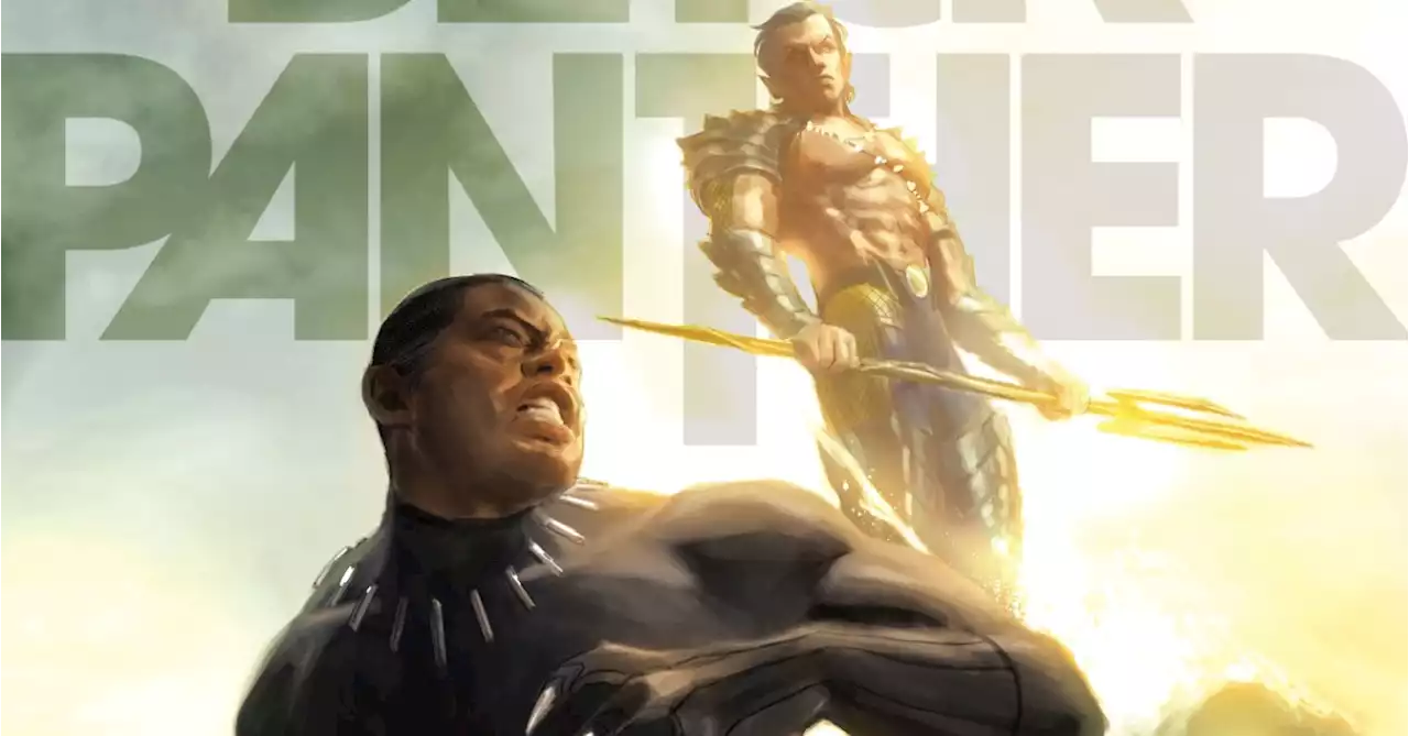 Black Panther and Namor Team Up to Battle The Avengers