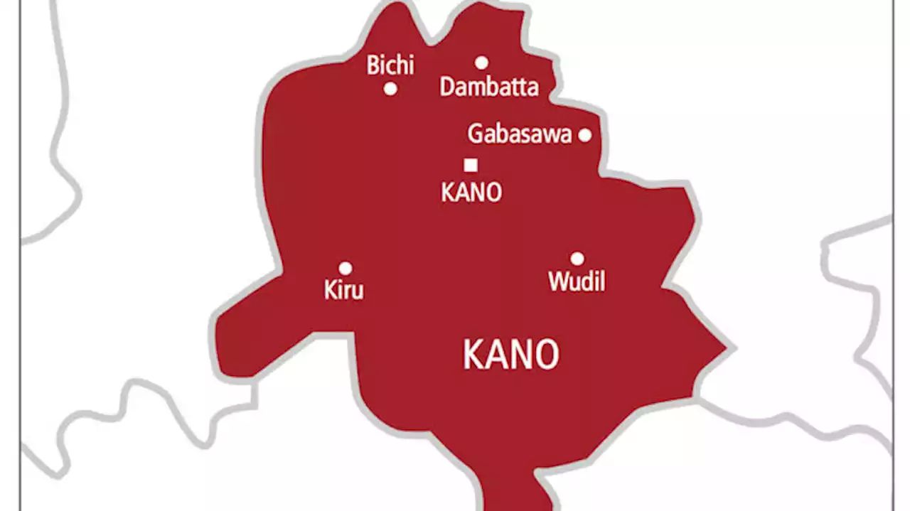 Kano engages private developers to renovate dilapidated schools - Daily Trust