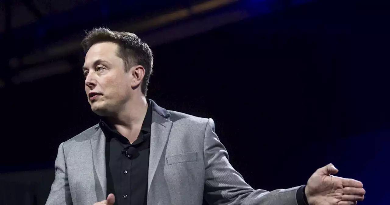 ‘Restore public trust’: Musk says Twitter must explain Hunter Biden laptop censorship