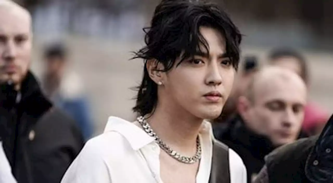 Chinese-Canadian pop star Kris Wu jailed for rape: court document