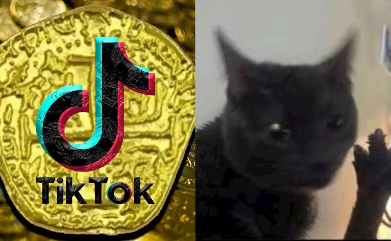 ¿Qué son los dabloons y por qué son tendencia en TikTok?