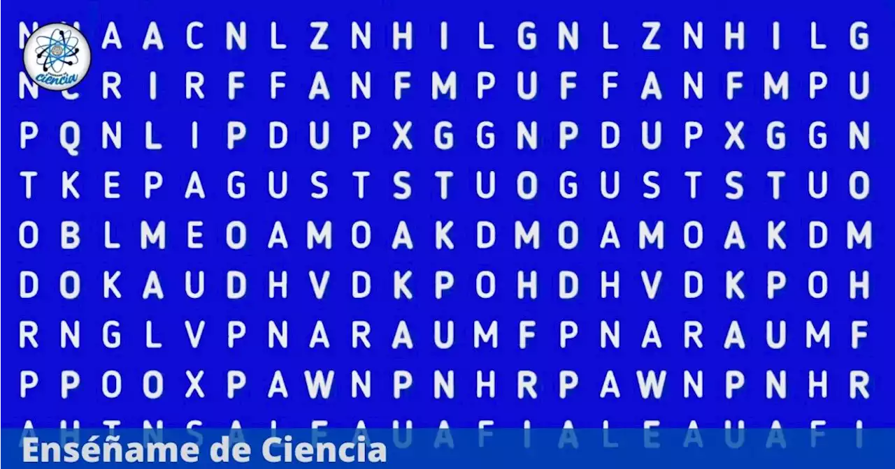 ¿Podrás ubicar la palabra “AZTECA” en tiempo récord? Solo el 10% resuelve este acertijo visual