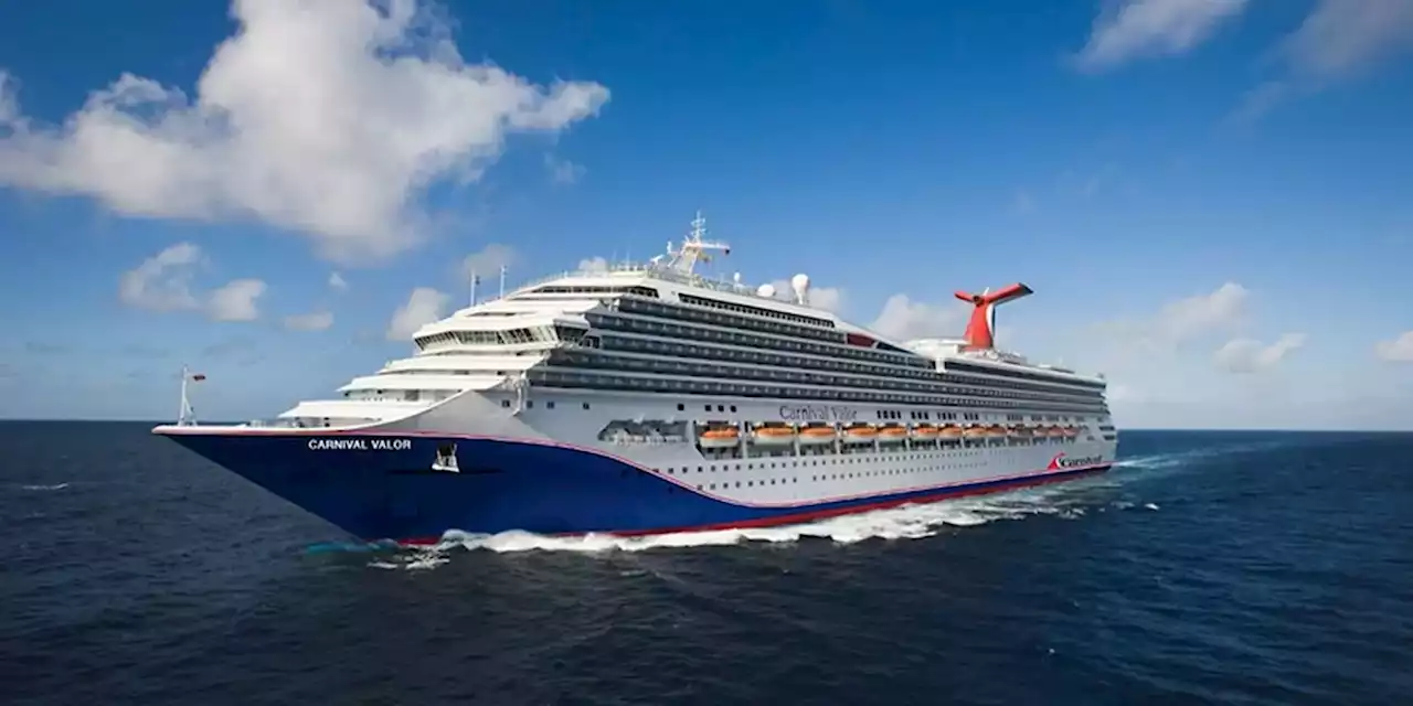 US Coast Guard rescues cruise passenger who went overboard