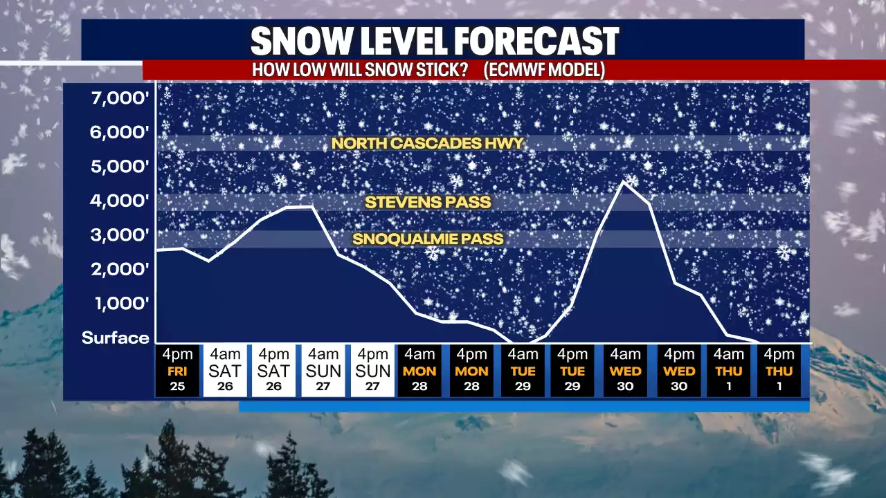 A wet Black Friday in the Puget Sound area