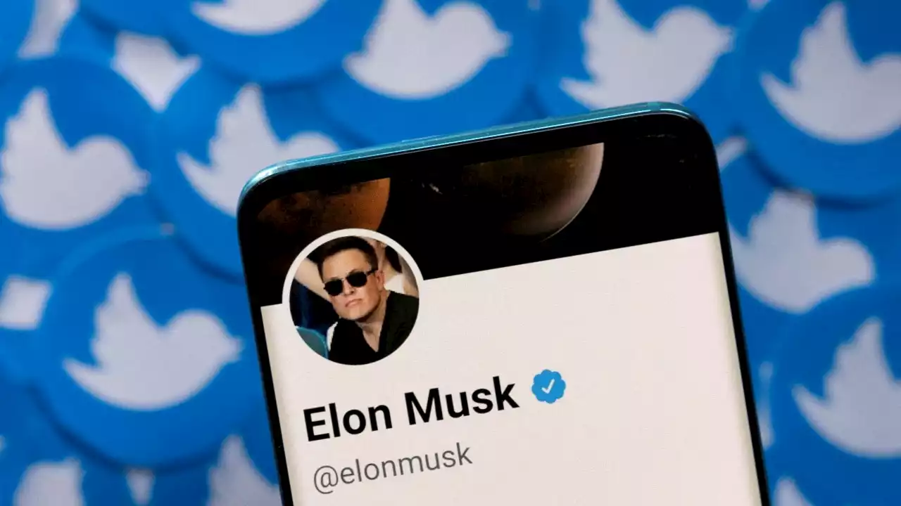 Elon Musk to roll out multi-colored verification checks