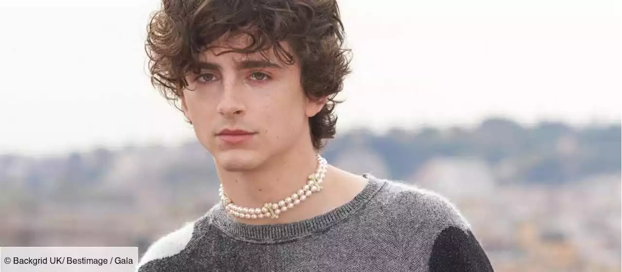 INTERVIEW – Timothée Chalamet : « Je m’épanouis si je me sens utile » - Gala