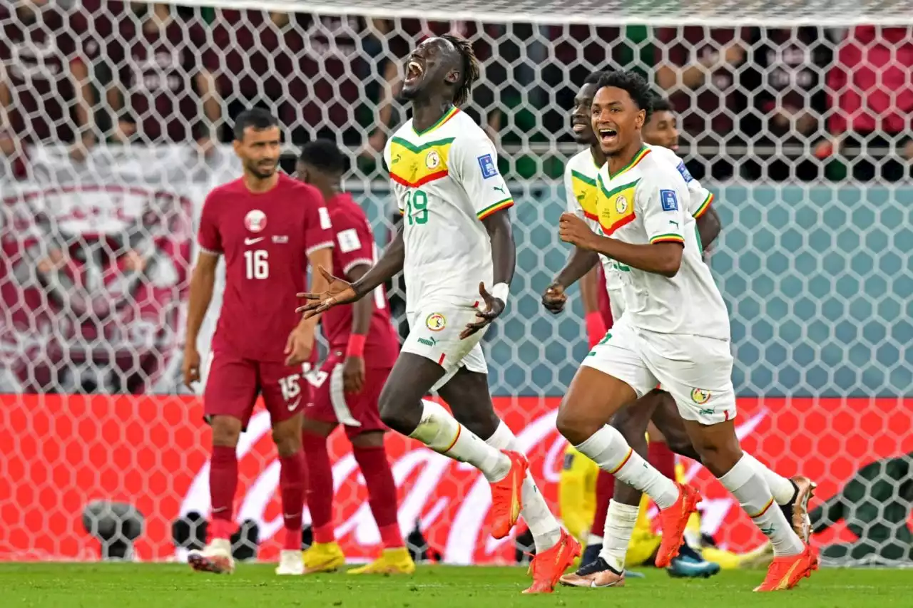 Senegal beat Qatar to leave World Cup hosts on brink of early exit | The Guardian Nigeria News - Nigeria and World News