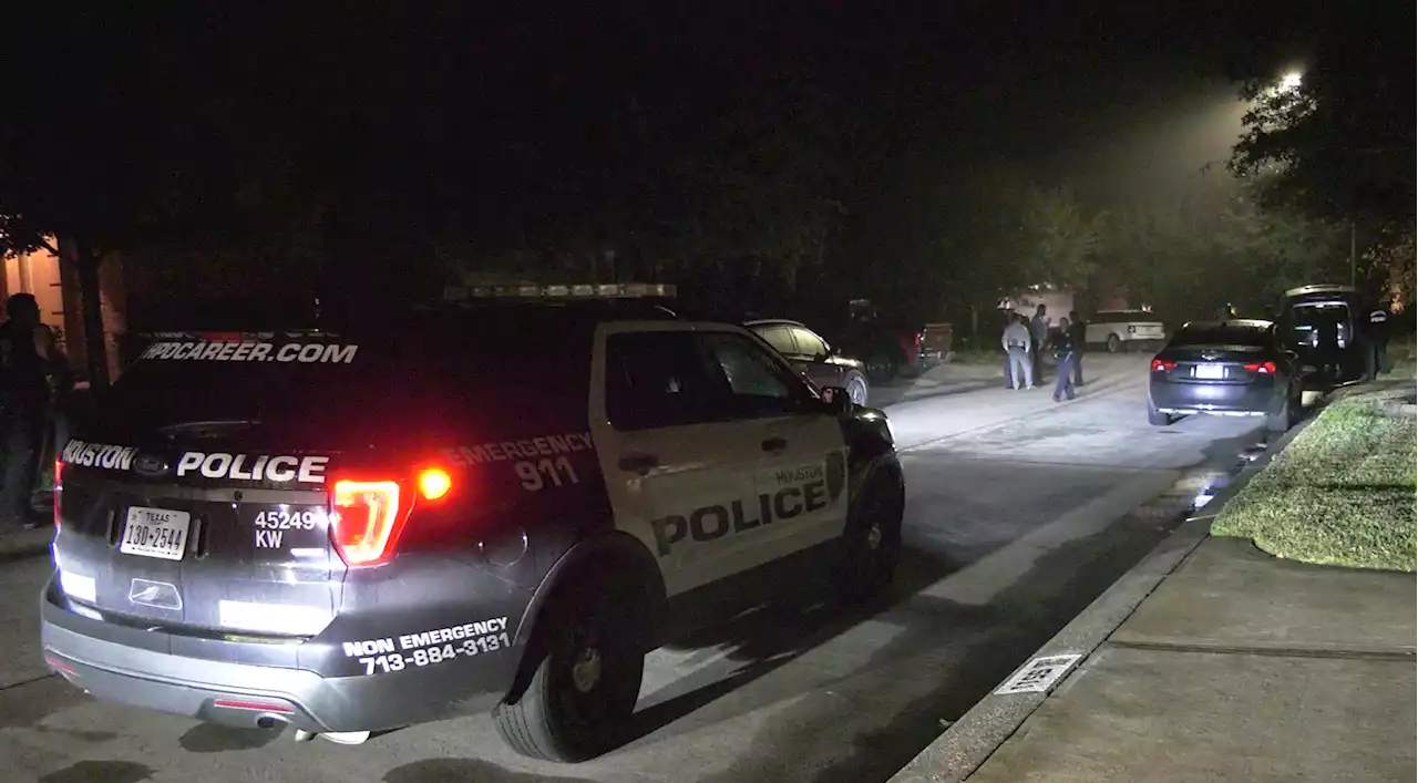 Officers see armed Kingwood homeowner, open fire during alarm call