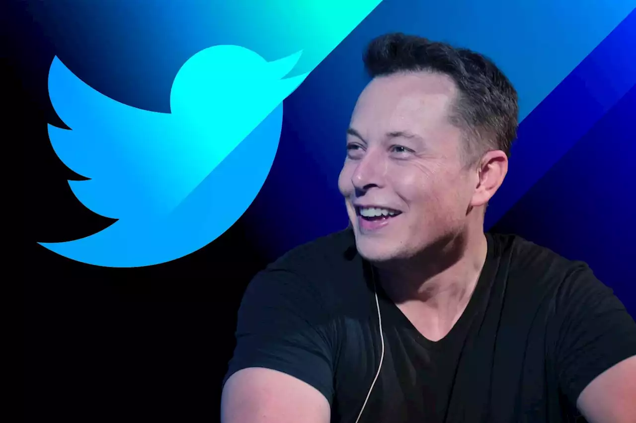 Elon Musk promet 'l'amnistie' pour les comptes twitter suspendus