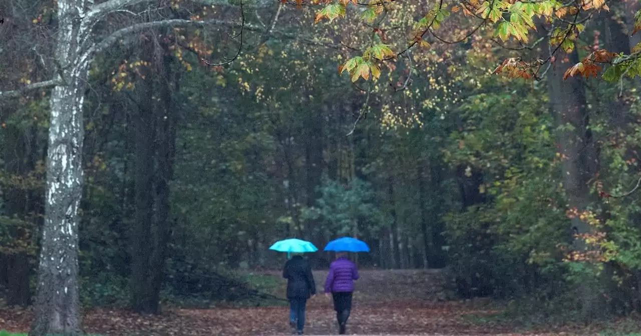 Met Eireann forecast unseasonably warm weekend with temperatures in mid teens
