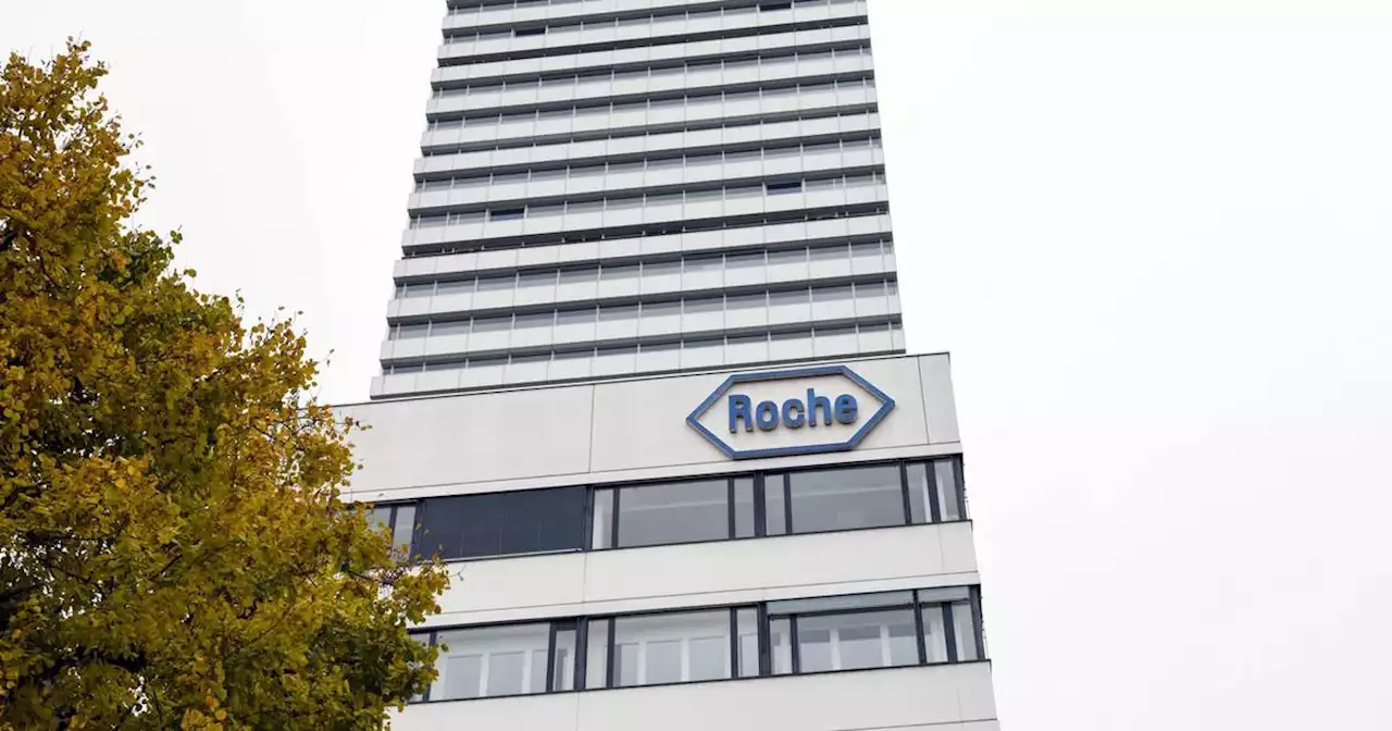 Roche drug safety manager accuses former Ireland chief of pressuring him to lie to regulator