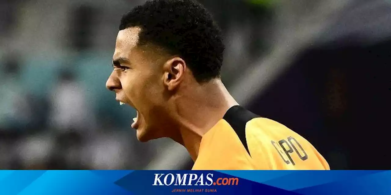 Babak I Belanda Vs Ekuador 1-0: Peluru Cody Gakpo Runtuhkan La Tri