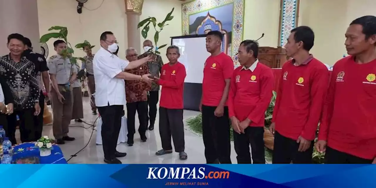 Genjot Ekspor, 10 Kecamatan di Lampung Dapat Bantuan Bibit Kakao