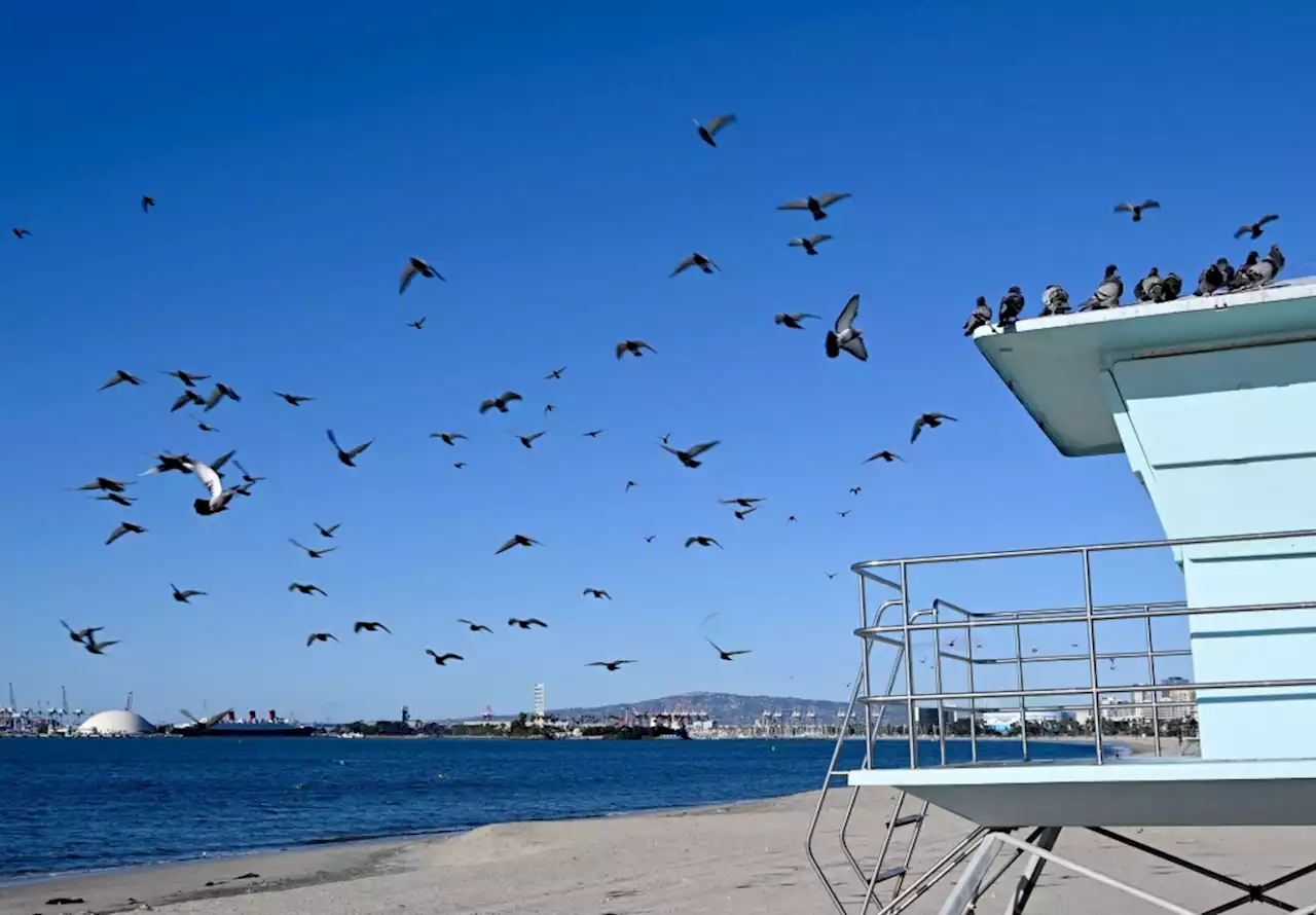 As winds calm, temperatures will cool across Southern California this weekend