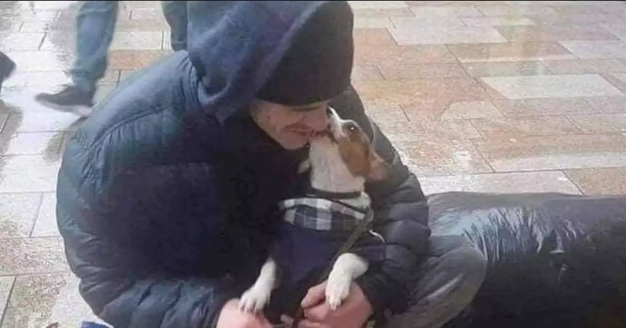 Homeless dad made final bed for his beloved dog then died in the night