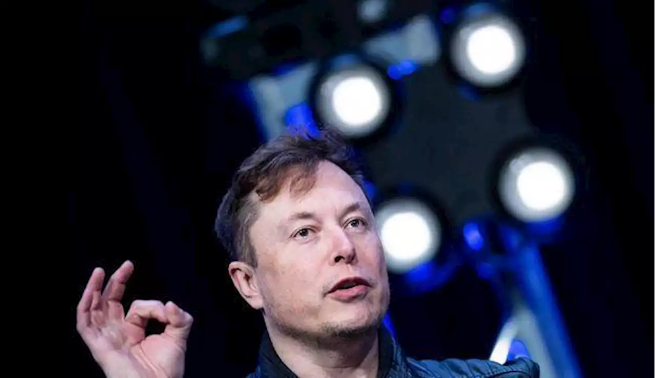 Twitter : comment Elon Musk utilise les sondages pour organiser le retour des bannis