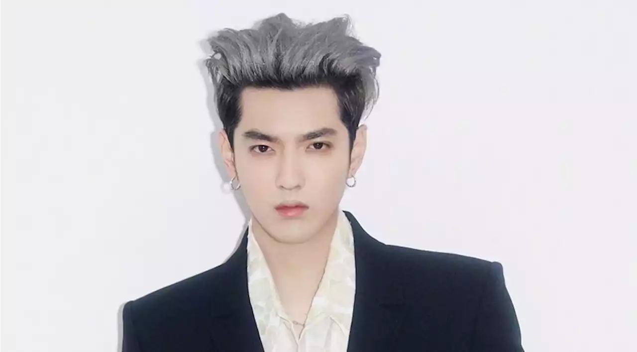 Chinese court sentences ex-EXO's Kris Wu to 13 years in prison for rape; gov't fines him $83 M for tax evasion