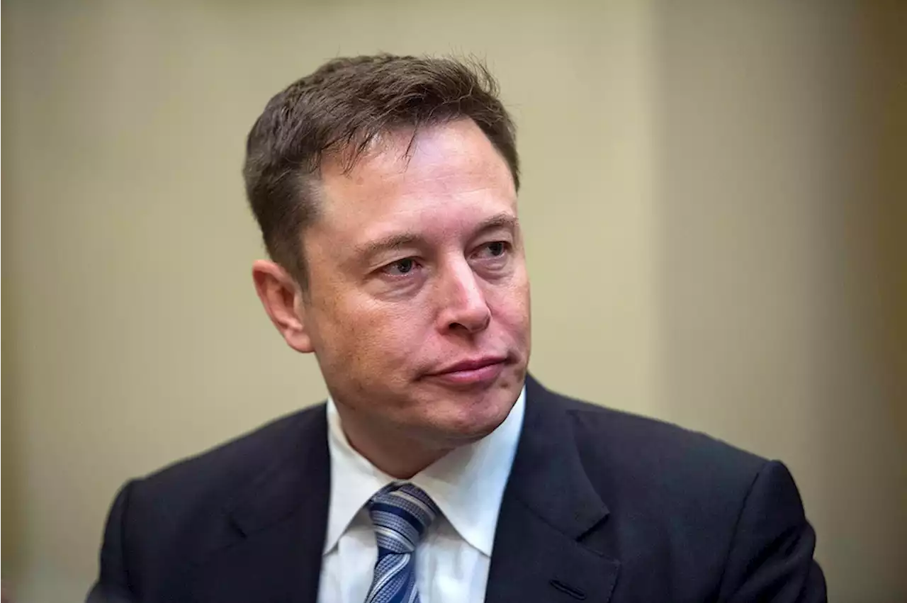 Elon Musk niega que fundador de FTX tiene acciones en Twitter