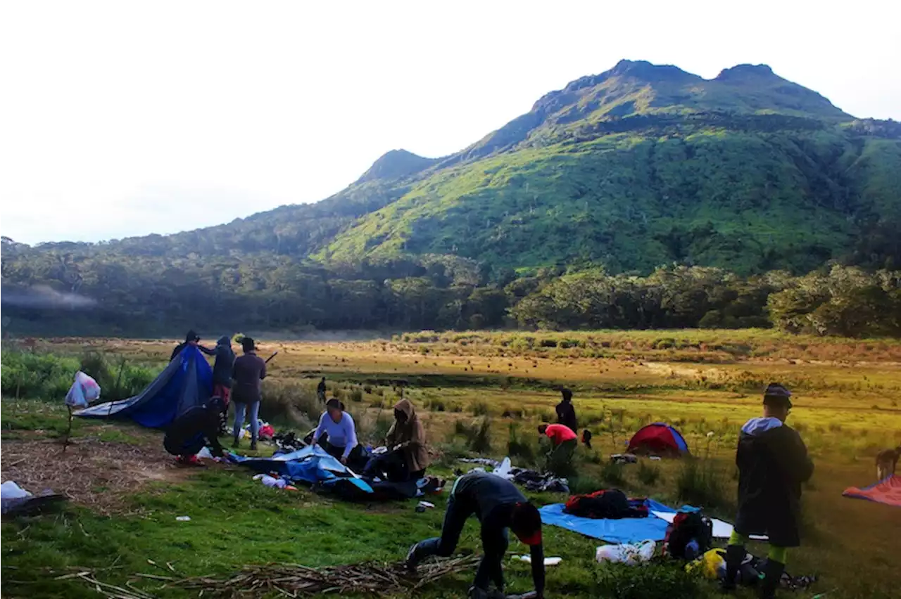 Establishment of Mt. Apo wildlife rescue, conservation center pushed