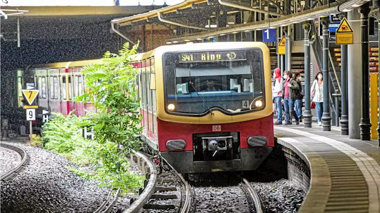 S-Bahn Berlin: Ringbahn S41 und S42 am Wochenende unterbrochen