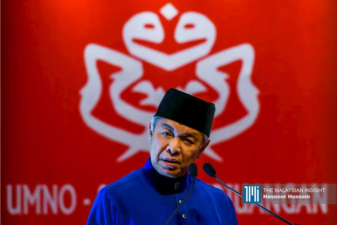 Umno elections will decide legitimacy of federal govt, say party leaders, analysts | The Malaysian Insight