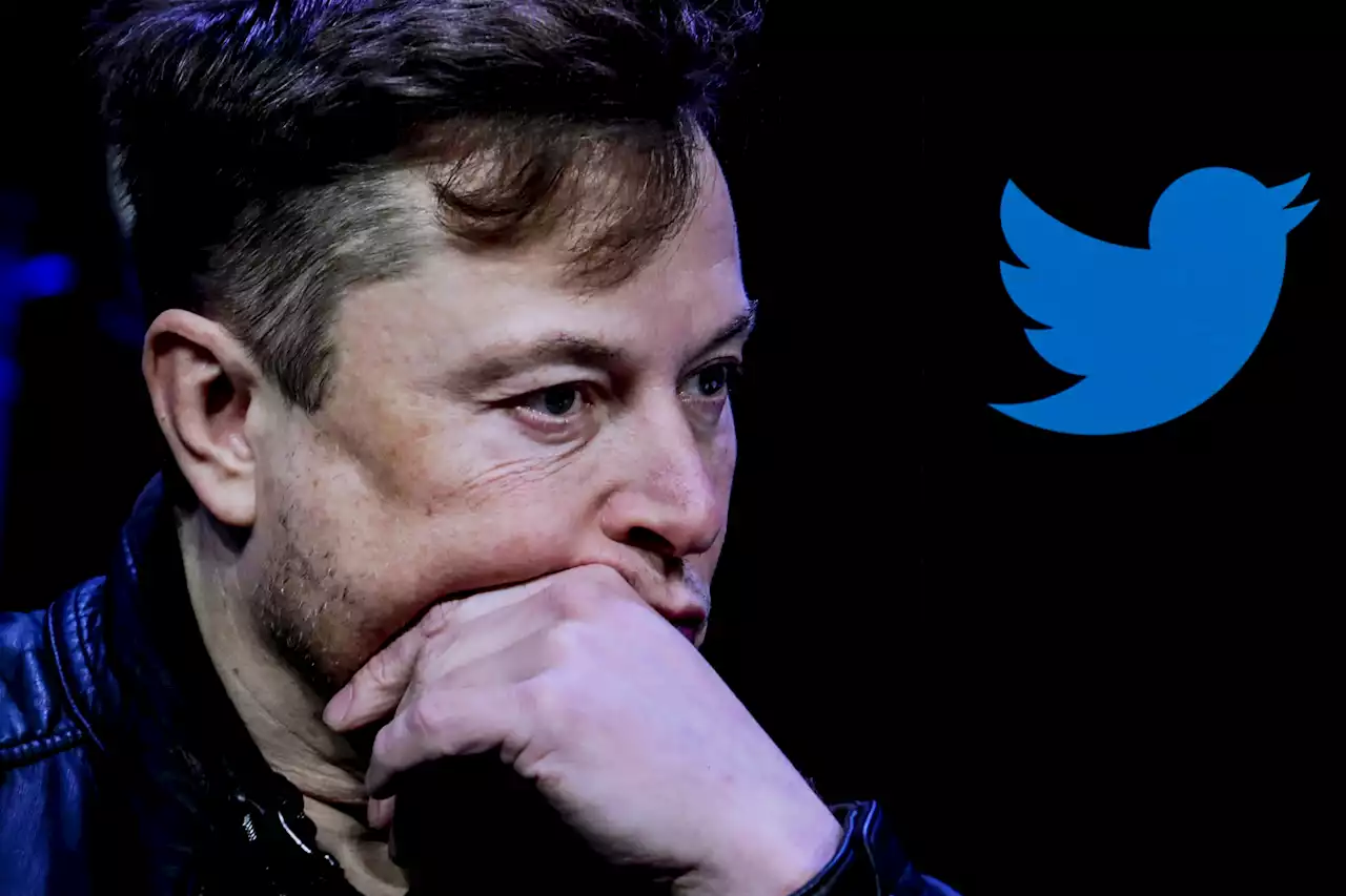 Twitter to Grant 'Amnesty' to Suspended Accounts, Elon Musk Says