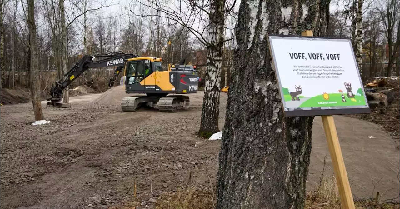 Ska hitta pengar för fler hundrastgårdar i Karlstad