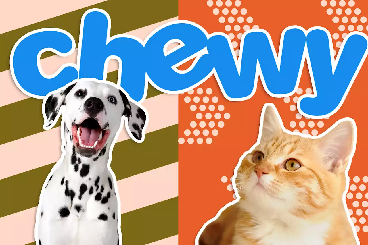 Best Chewy Black Friday deals 2022: Spoil your pet with treats, more