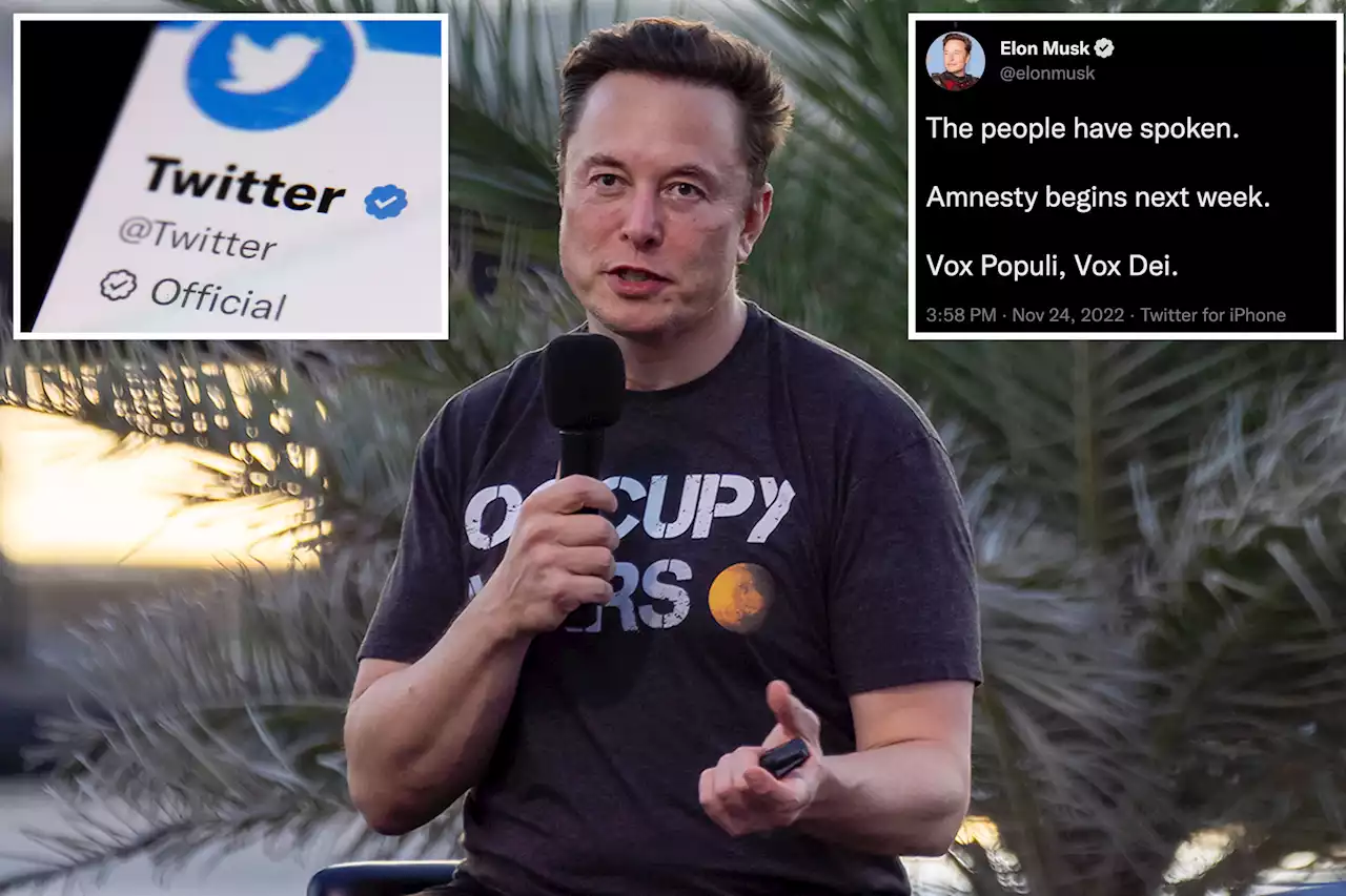 Elon Musk says Twitter will grant ‘amnesty’ to suspended accounts after poll