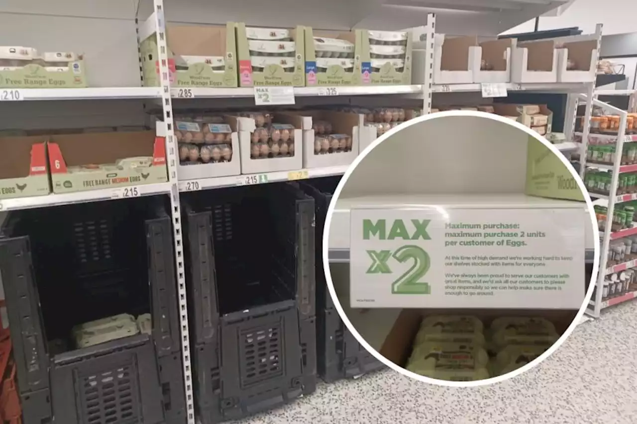 Watford supermarkets limiting egg purchases amid shortage