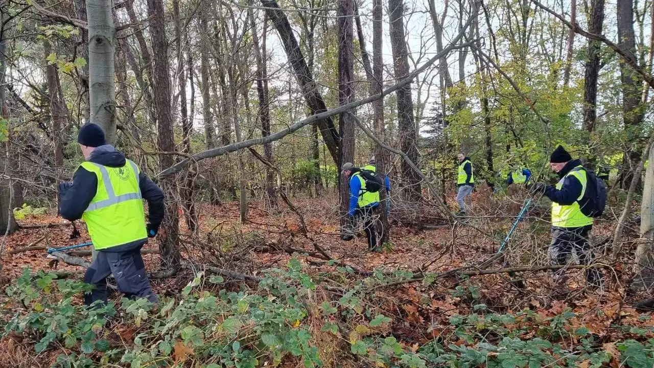 Deze mannen vermoordden hun geliefden en verstopten het lichaam