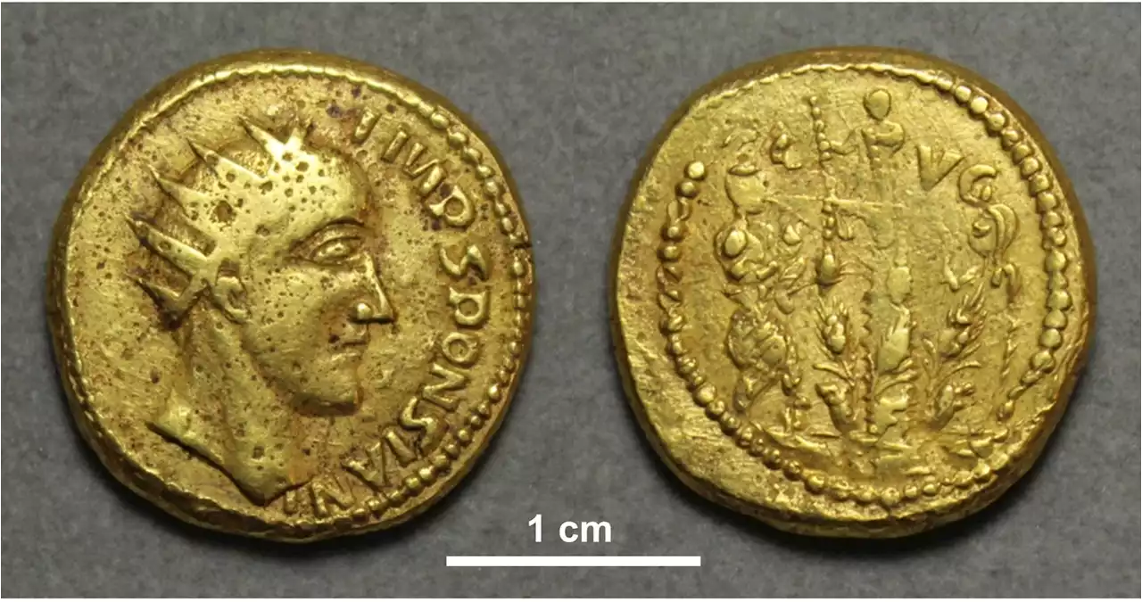 These 'fake' ancient Roman coins might actually be real