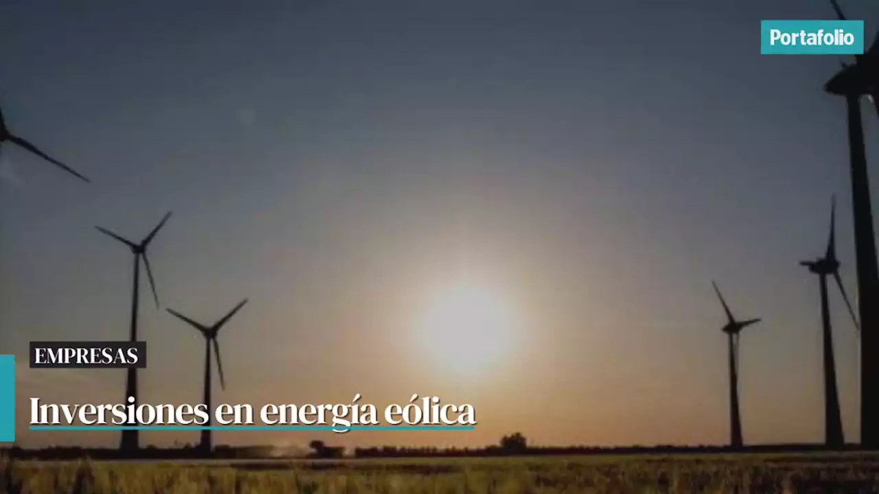 'Energía eólica podría brindarle estabilidad al sistema eléctrico'