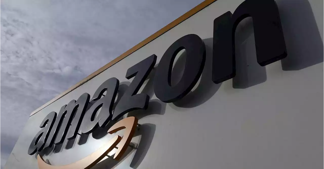 Amazon workers across world urged to strike on Black Friday