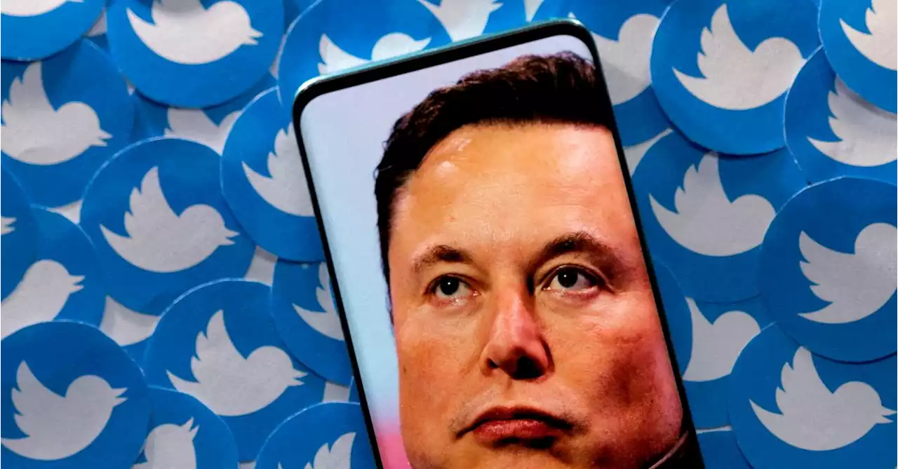 Elon Musk says Twitter to provide 'amnesty' to some suspended accounts starting next week